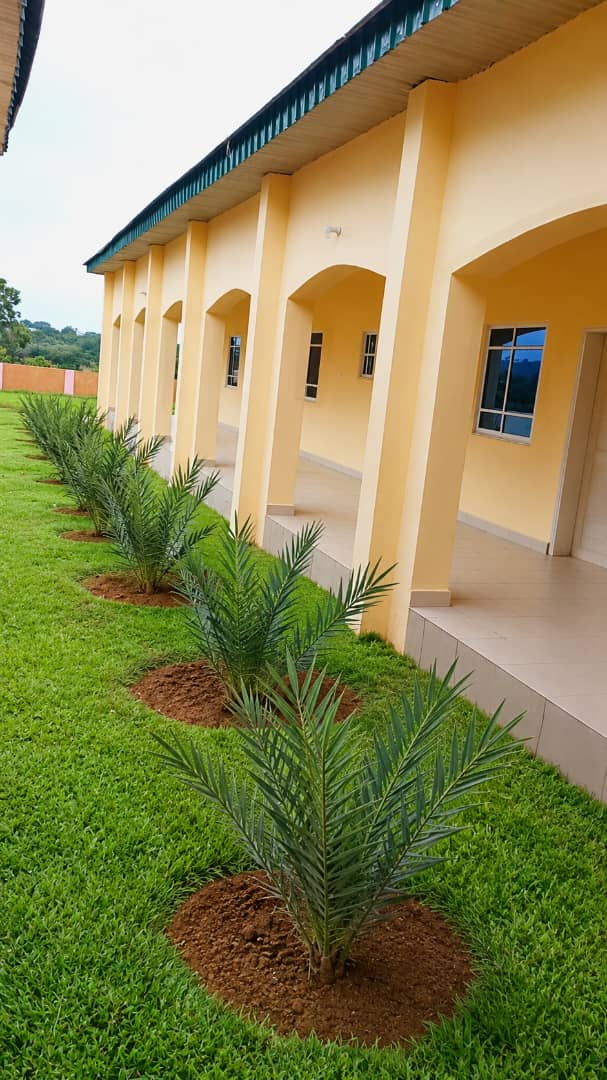 St Johns Hospital Building Exterior Palm Trees Lawn